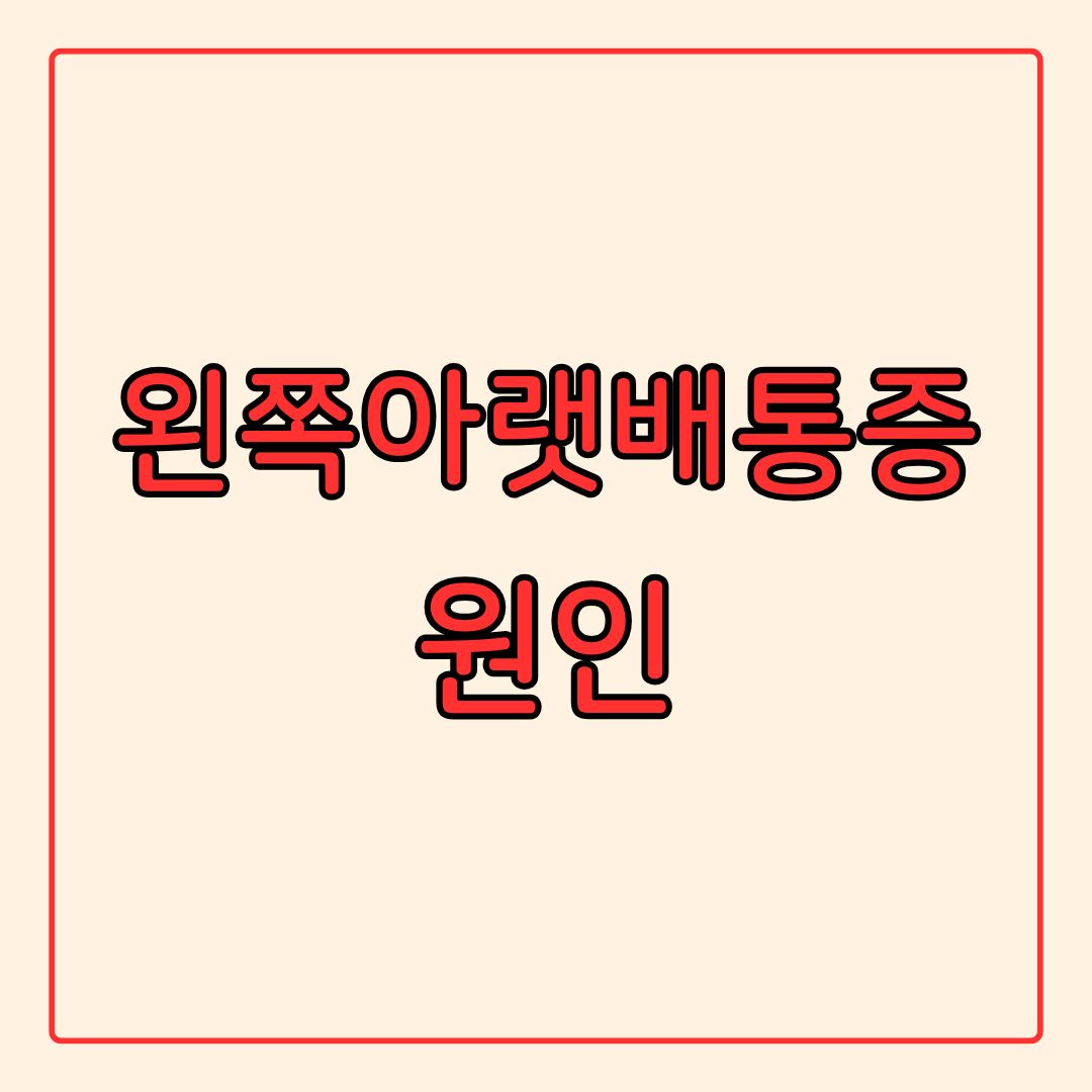 왼쪽 아랫배 통증 남자 여자 통증 원인