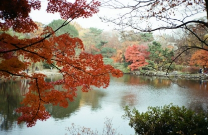서울-단풍-명소