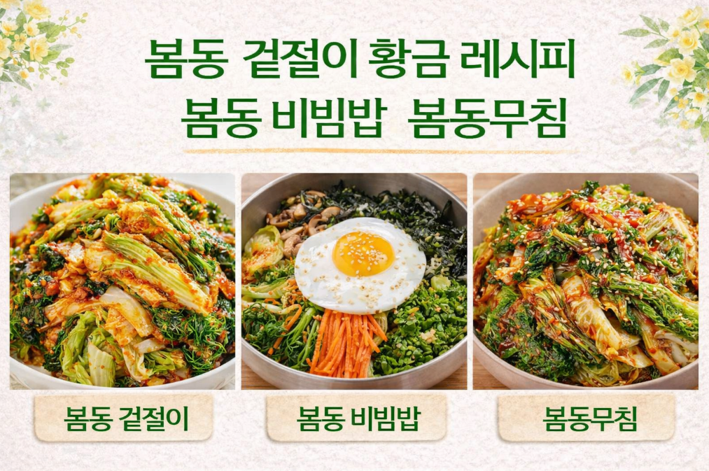 봄동 겉절이 황금레시피, 이것만 알면 봄동무침 완성