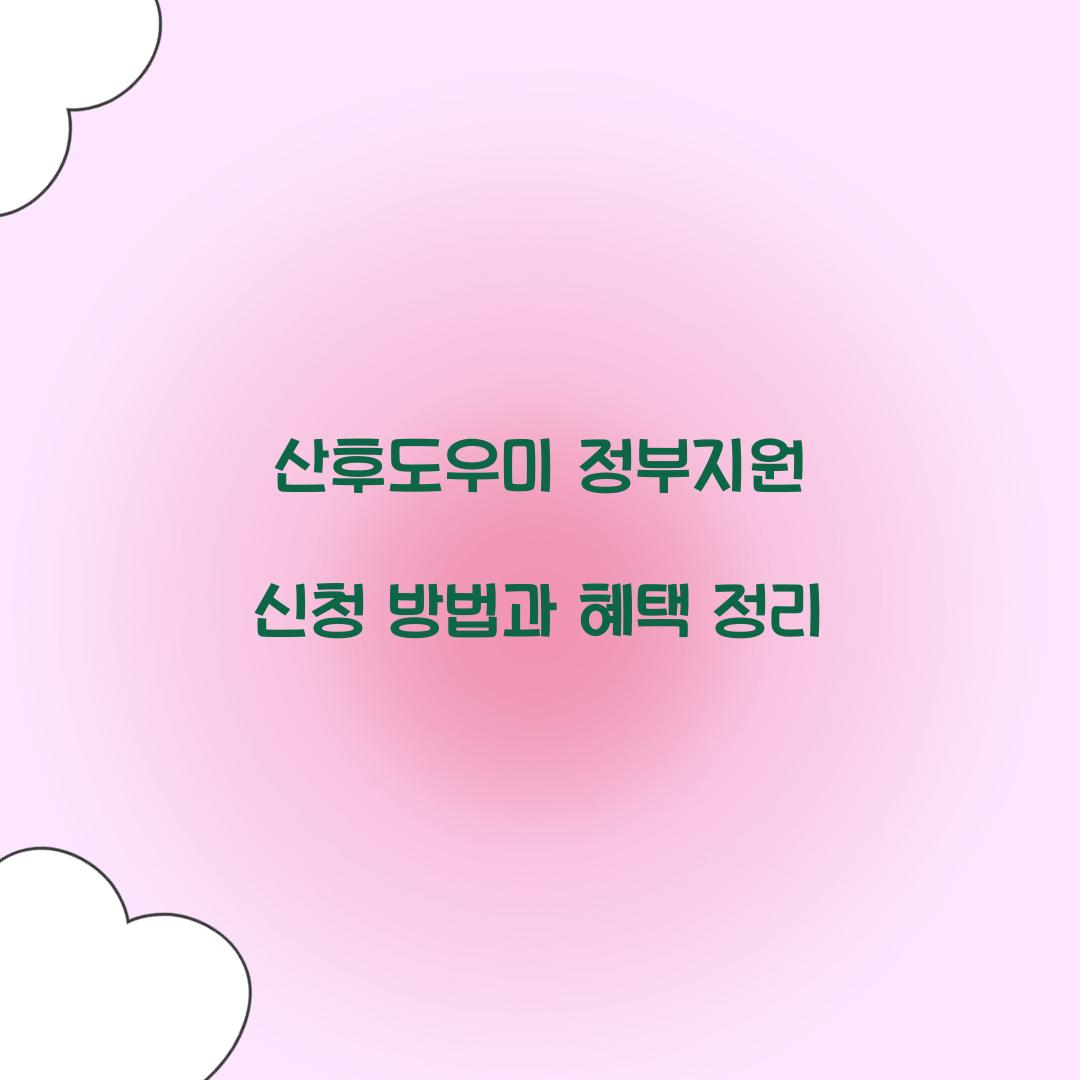 산후도우미 정부지원