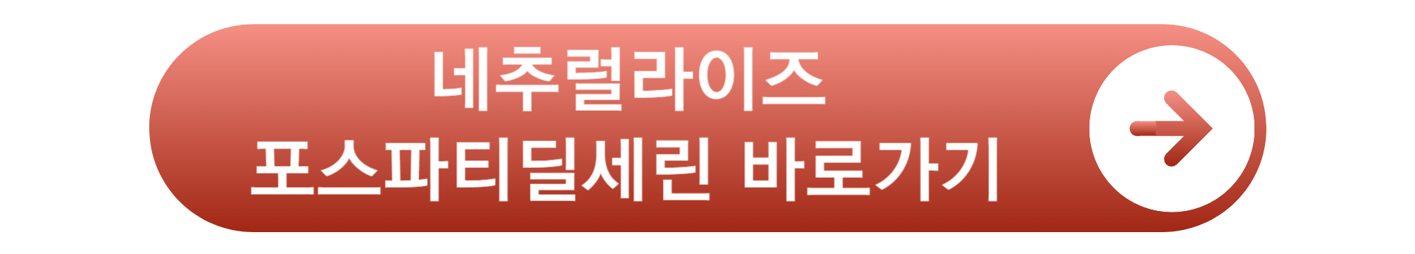 뇌 영양제 추천 TOP5 치매 예방