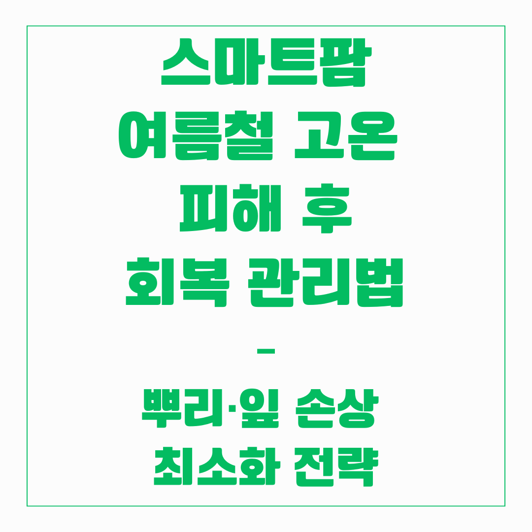 스마트팜 여름철 고온 피해 후 회복 관리법