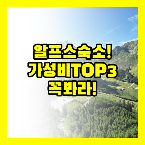 알프스 라이헤나우 가성비 숙소 3개 ..