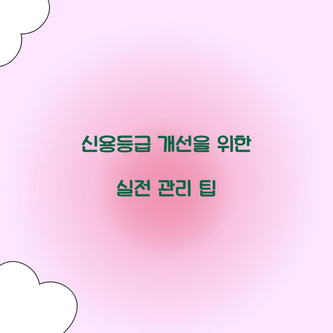 신용등급 개선