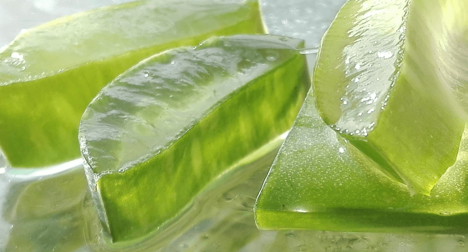 속쓰림에 좋은 음식 사진 - 5