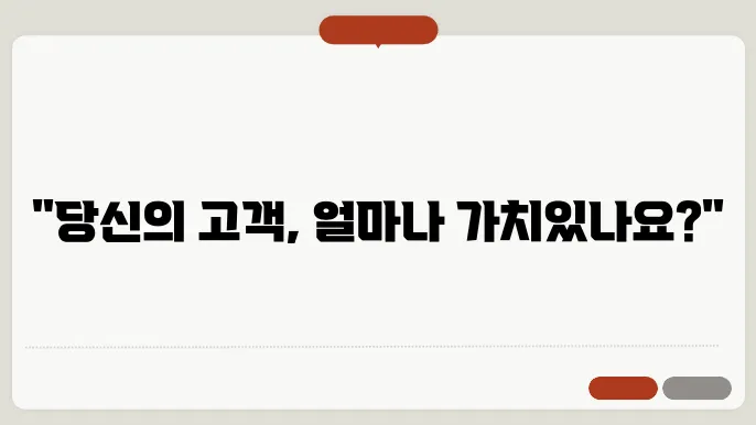 고객생애가치 CLV 활용 방안