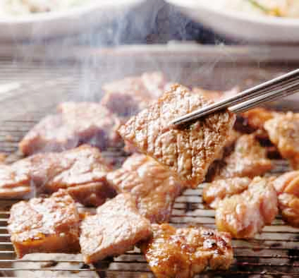 대장균 (Escherichia coli, E. coli)