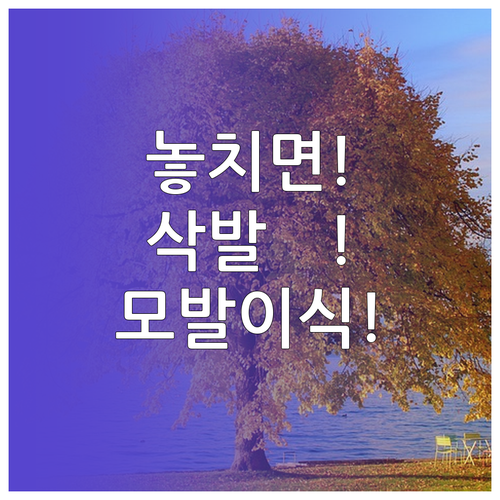 삭발 없는 모발이식, 현명한 병원 고..