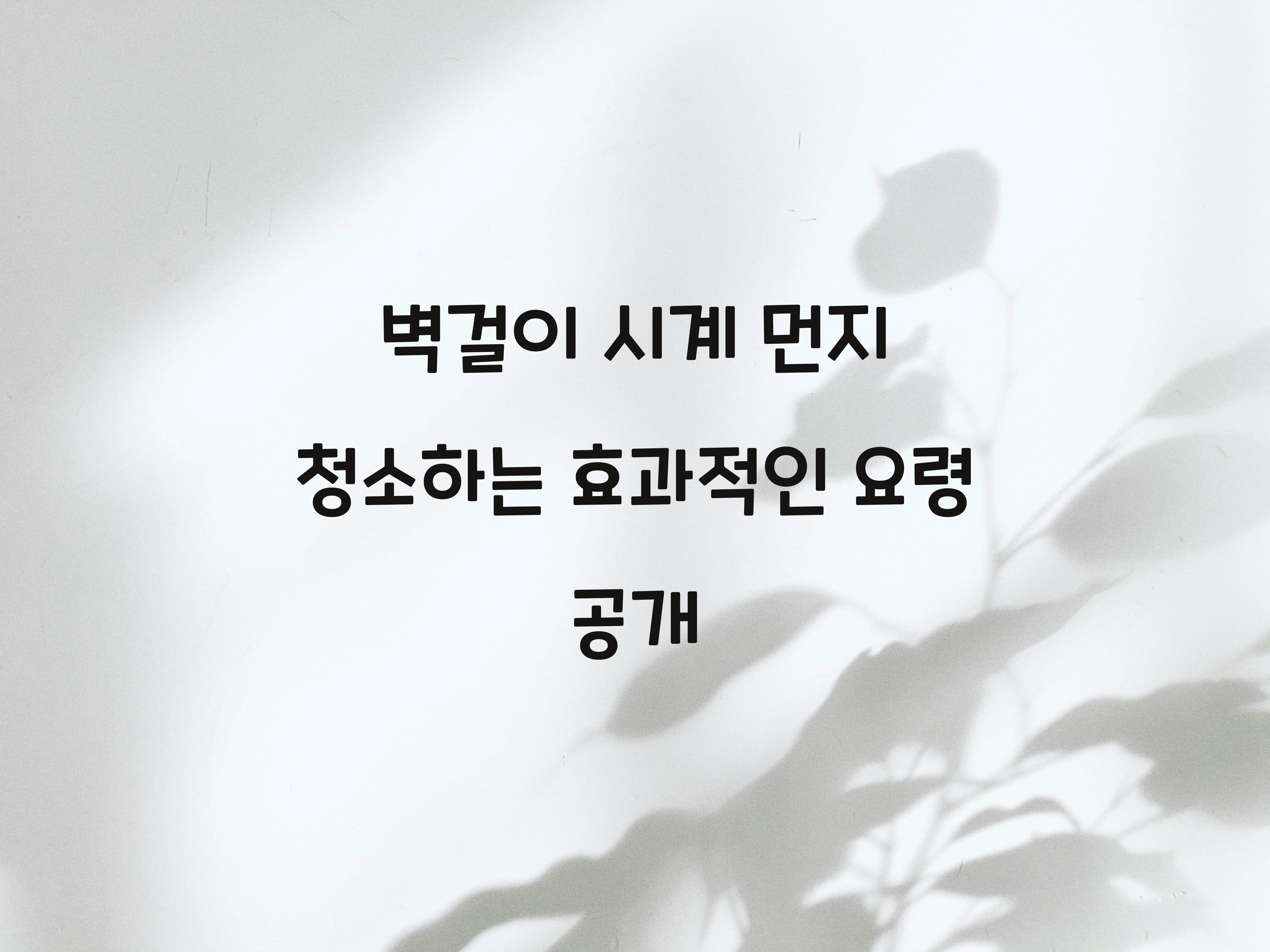 벽걸이 시계 먼지 청소하는 효과적인 요령