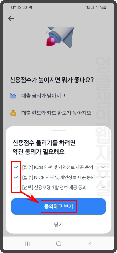 이용 약관 동의