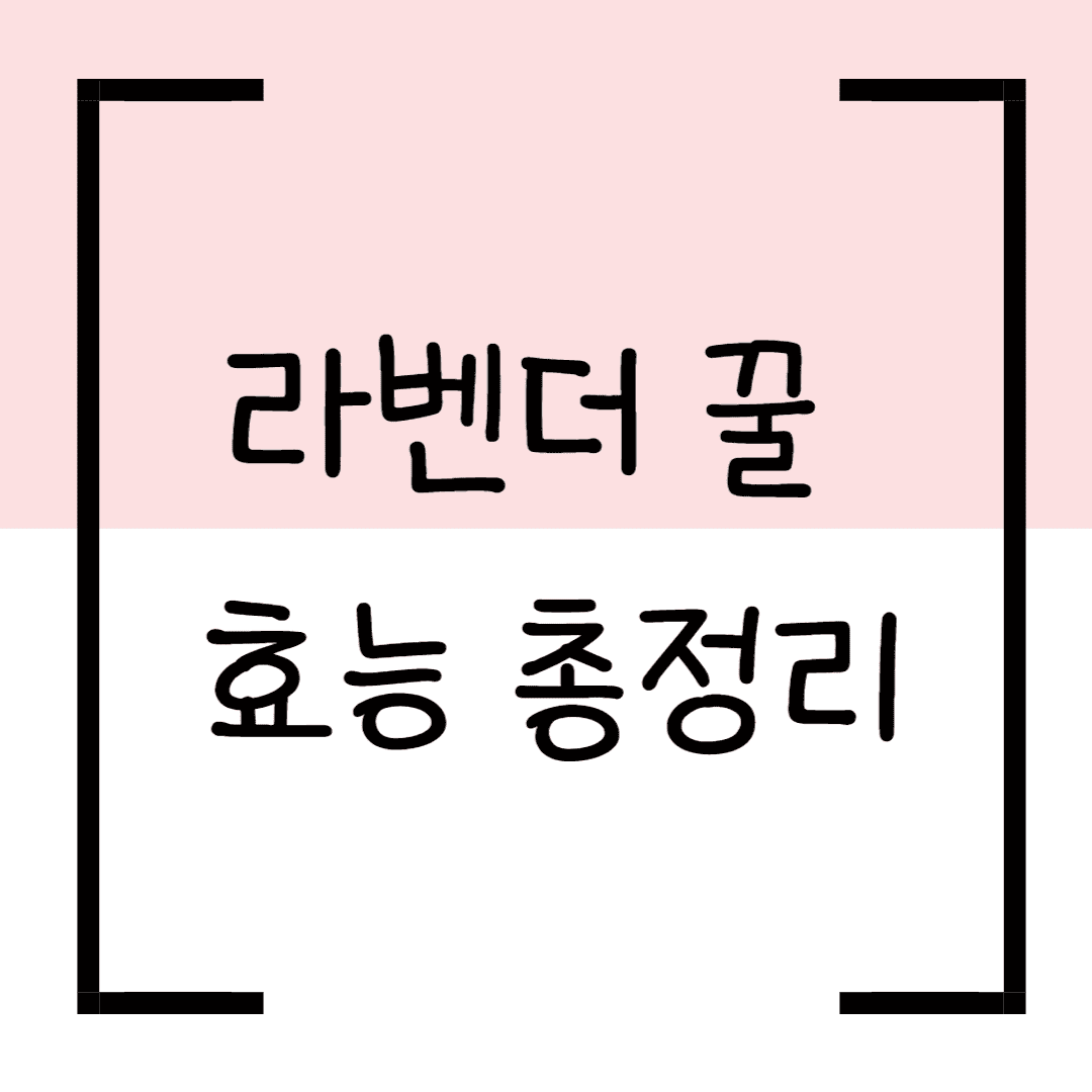 라벤더 꿀 효능 총정리