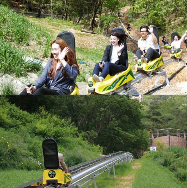 알파인코스터-타는모습