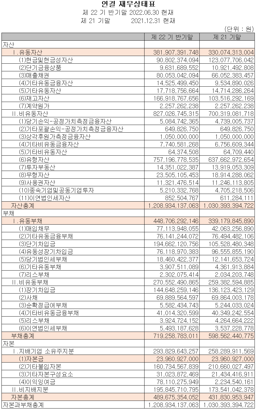하나마이크론 - 재무상태표