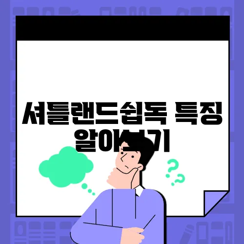 셔틀랜드쉽독 특징 알아보기