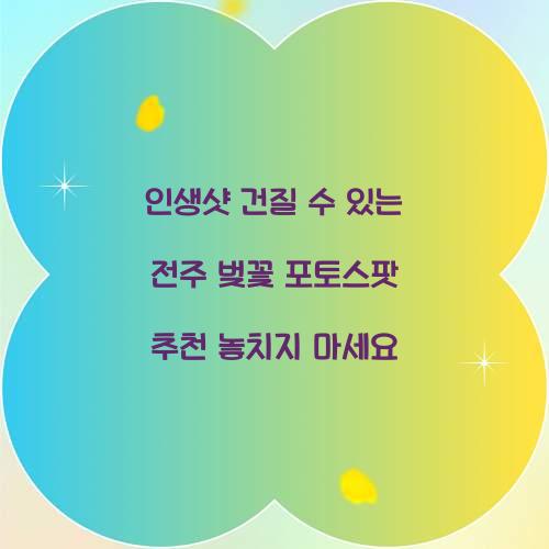 인생샷 건질 수 있는 전주 벚꽃 포토스팟