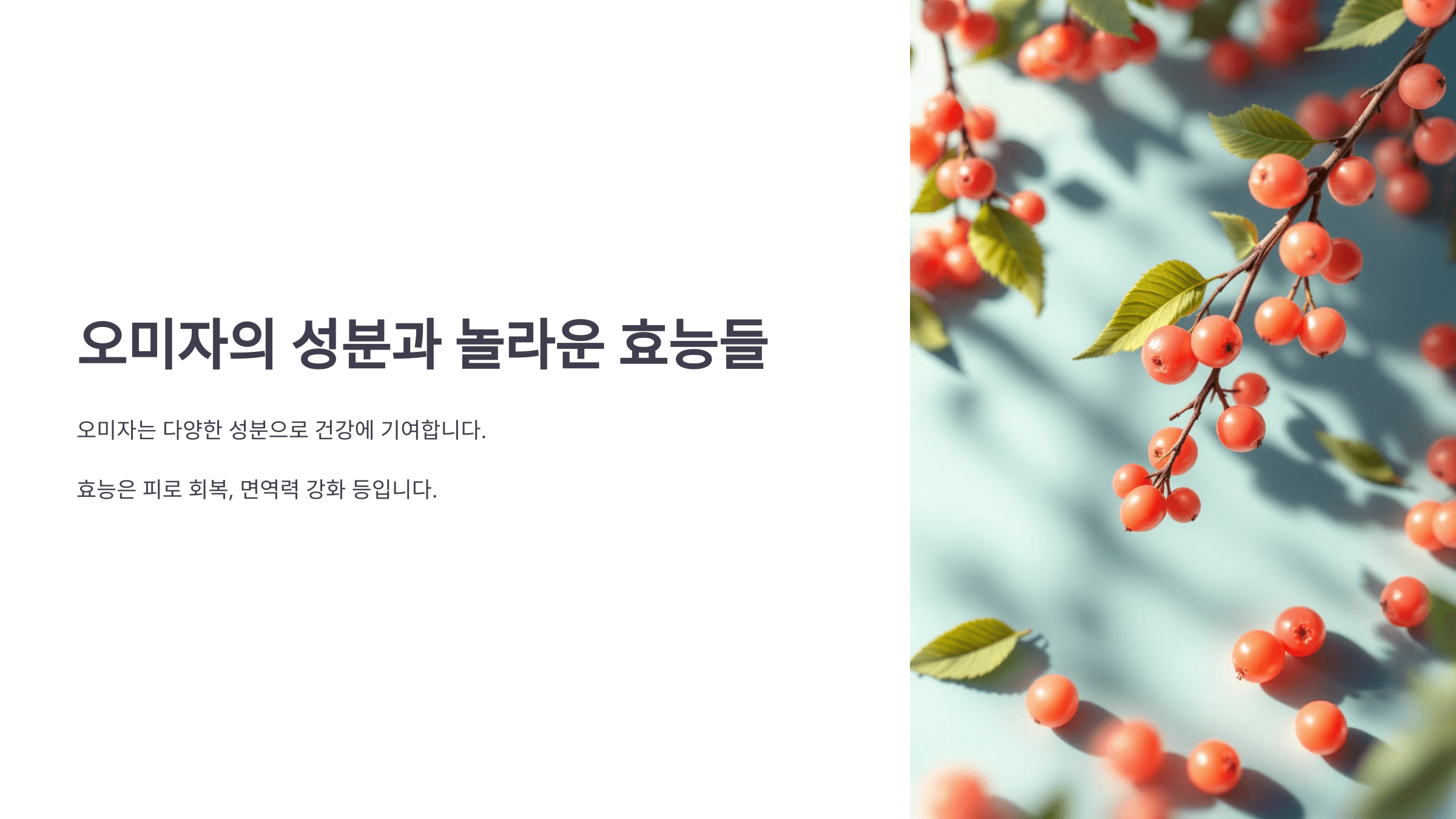 오미자 효능과 관련된 사진입니다.