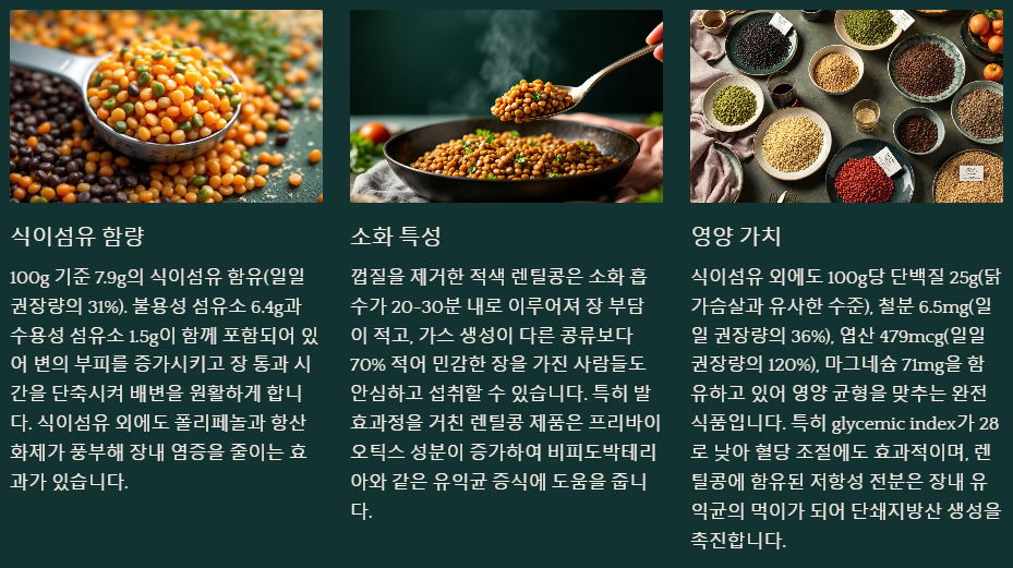 렌틸콩