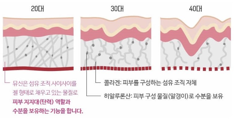 콜라겐, 히알루론산, 뮤신