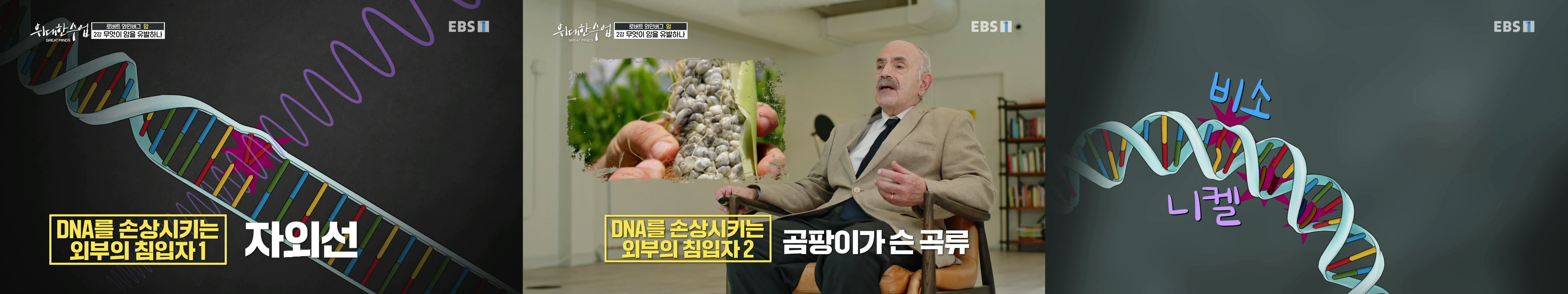 DNA 손상 외부요인