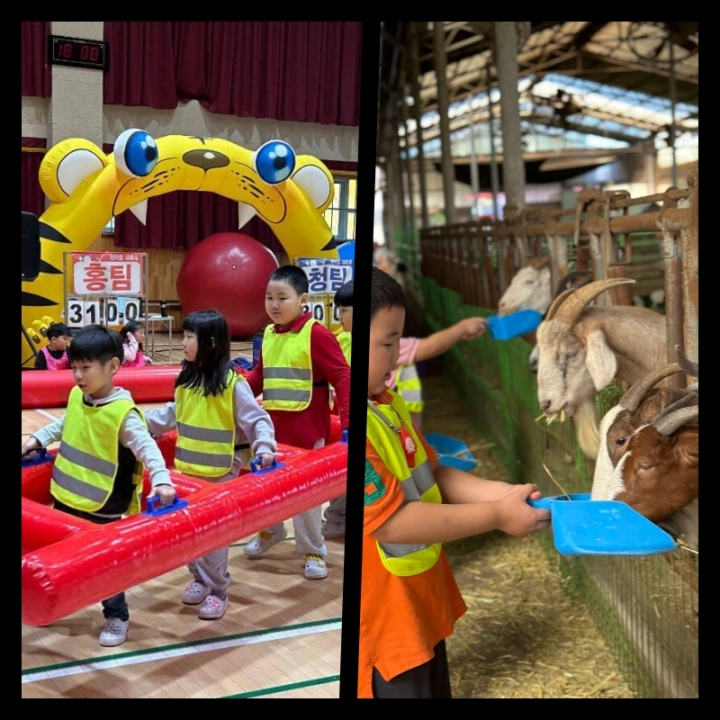 병설유치원-야외활동-체육대회