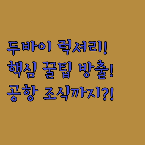 두바이 럭셔리 풀빌라부터 공항 무료 ..
