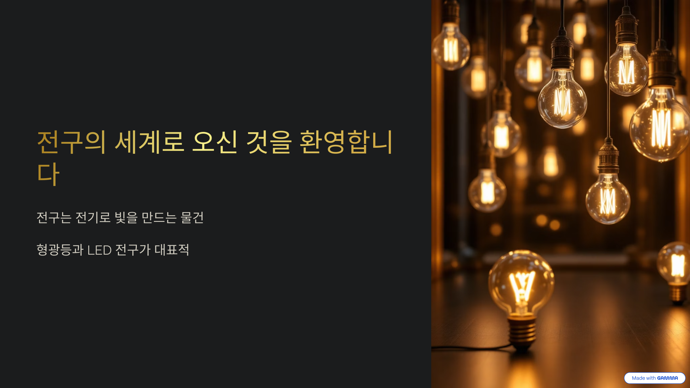 전구의 세계로 오신 것을 환영합니다.