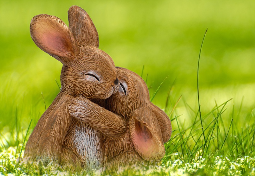 23년 토끼띠운세