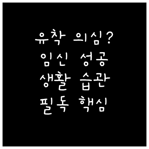 나팔관 조영술 유착 의심 판정 후 궁..
