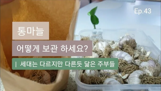 통마늘 지퍼백 보관 효과 오래 보관하는 방법_5