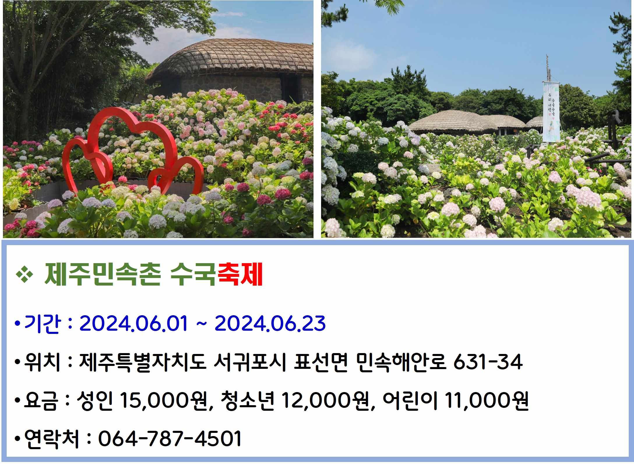 제주민속촌 수국축제