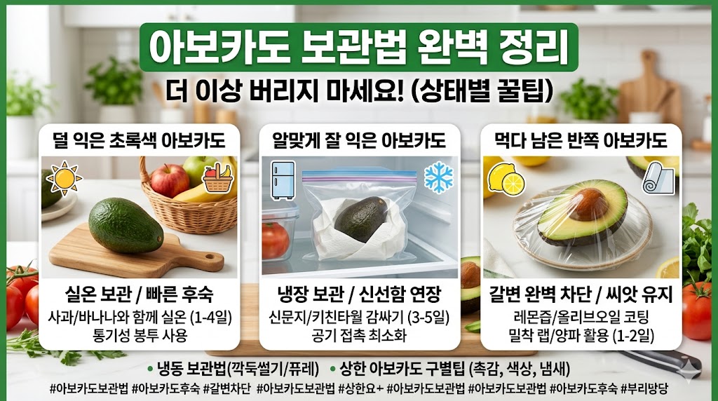 아보카도 보관법