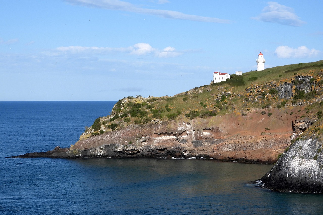 뉴질랜드 아카로아(Akaroa)