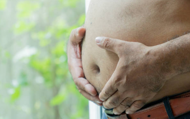 내장지방은 다이어트를 방해하는 근본 원인