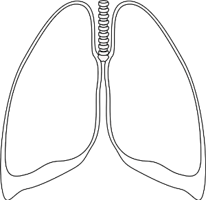 폐렴증상-이미지