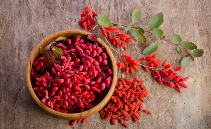 발효 구기자 만드는 법