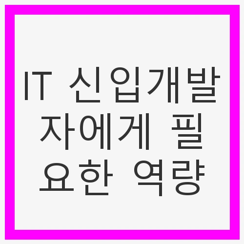 IT 신입개발자