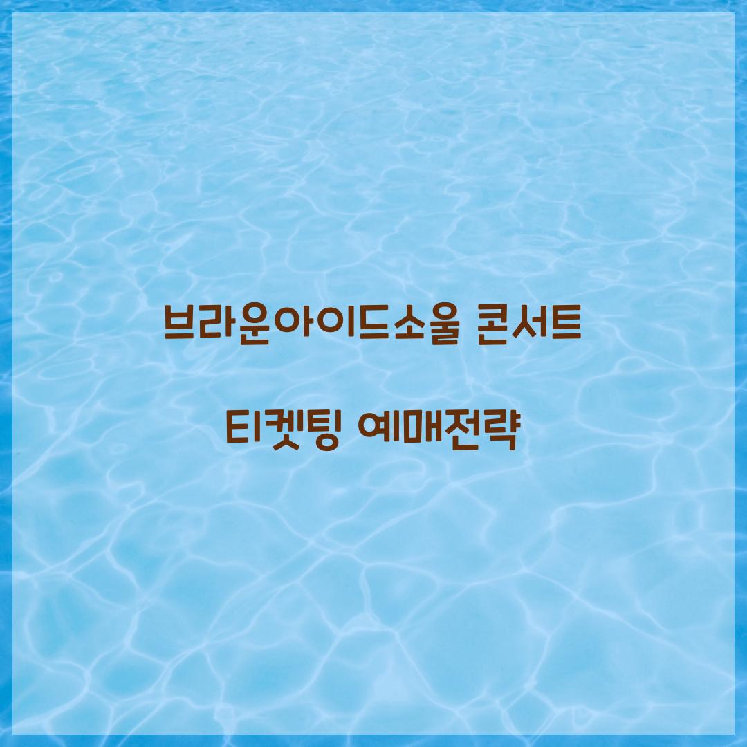 브라운아이드소울 콘서트 티켓팅