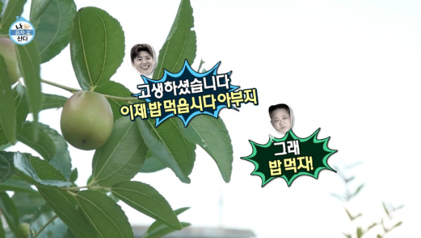 박지현 가수 나 혼자 산다 박지현 고향 목포