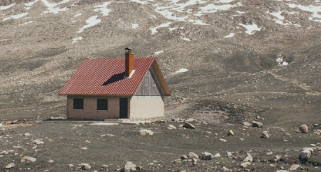 청년 월세 지원금