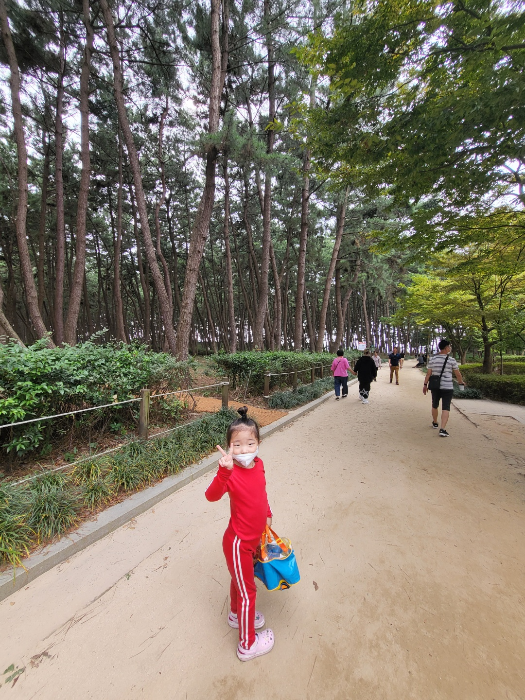 서천 갯벌체험&amp;#44; 모시조개 캐기 (서천송림갯벌체험장)