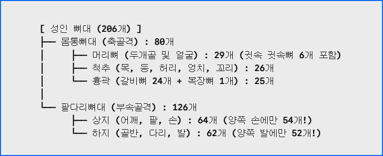 뼈대 구성