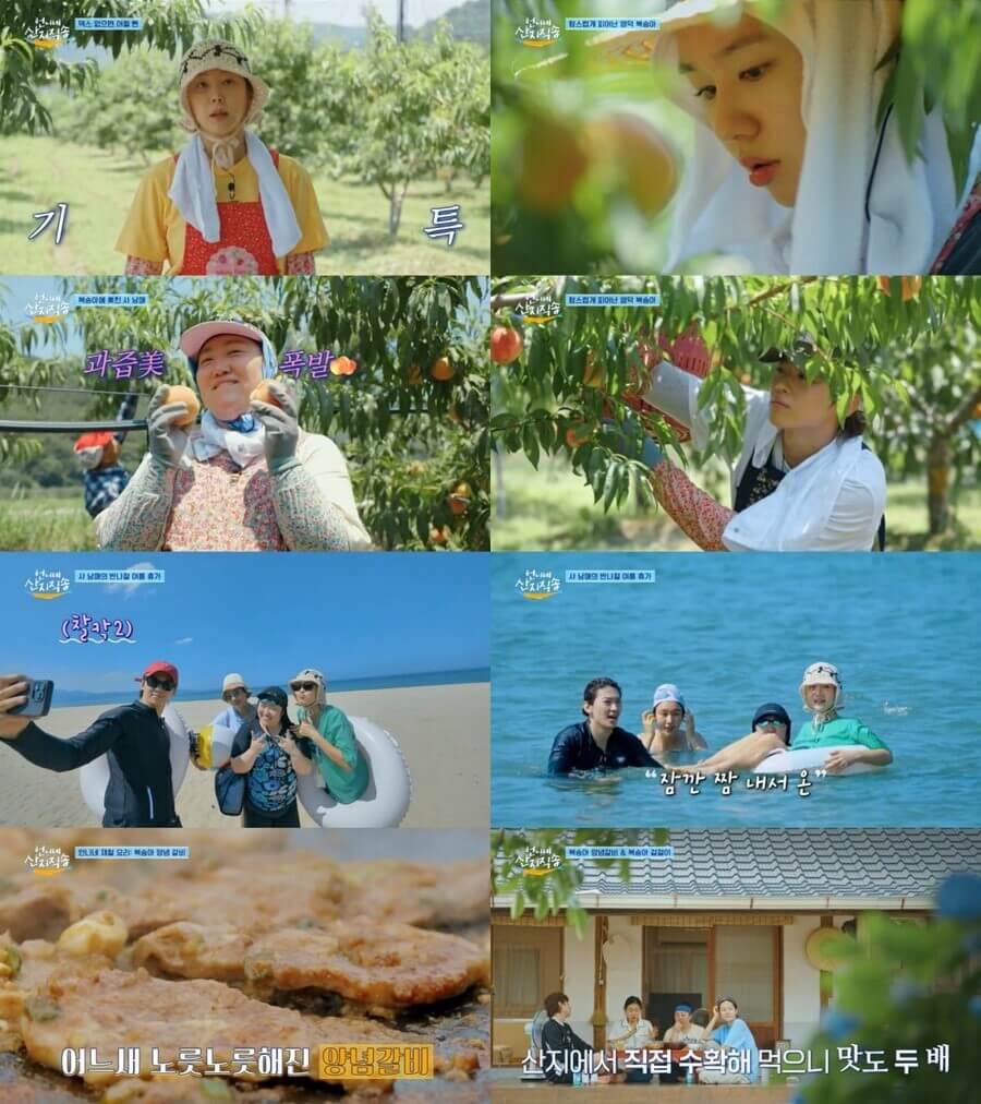 언니네 산지직송