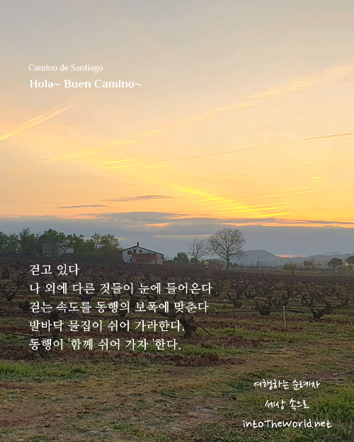 산티아고 순례길