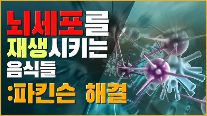 엉겅퀴 먹는법 엉겅퀴 차 마시는 법_6