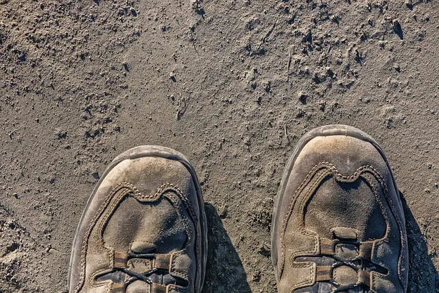 2025 폐 건강 영양제 TOP5 – 미세먼지 많은 날 꼭 챙겨야 할 폐 보호템