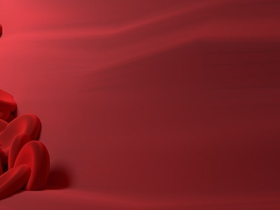 표고버섯 효능 사진9