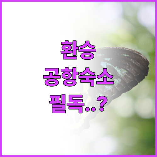 케언즈 공항 환승 소요 시간 정보와 ..