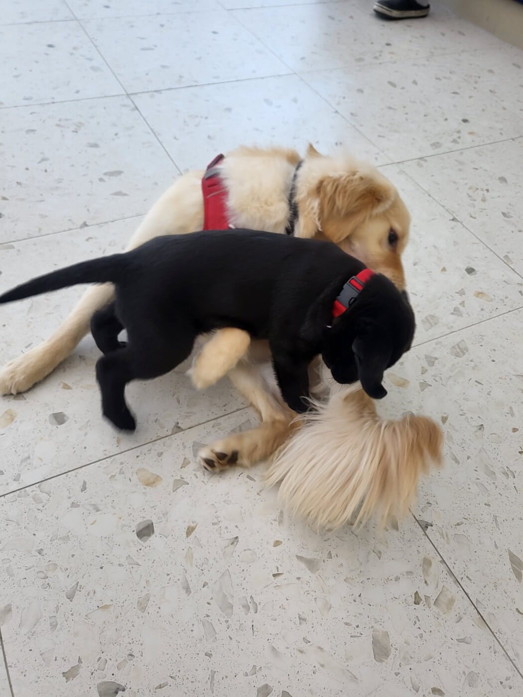 반려동물지원센터 3