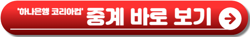 하나은행 코리아컵