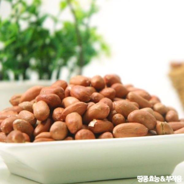 땅콩 효능 : 땅콩의 다양한 건강 효능과 부작용